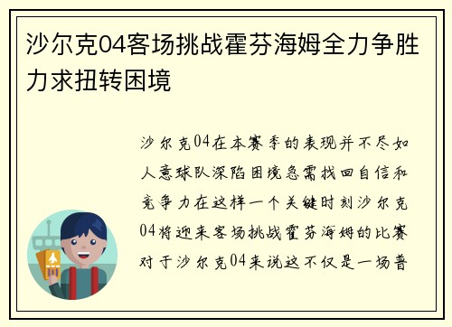 沙尔克04客场挑战霍芬海姆全力争胜力求扭转困境