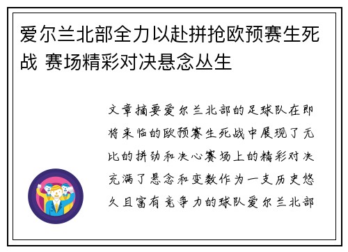爱尔兰北部全力以赴拼抢欧预赛生死战 赛场精彩对决悬念丛生