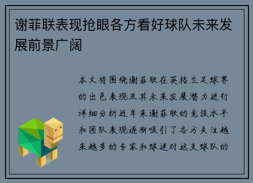 谢菲联表现抢眼各方看好球队未来发展前景广阔