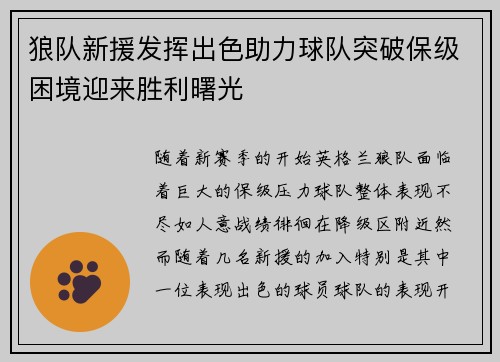 狼队新援发挥出色助力球队突破保级困境迎来胜利曙光